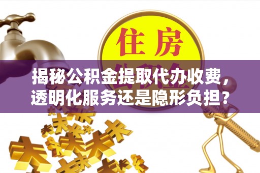 南岳揭秘公积金提取代办收费，透明化服务还是隐形负担？