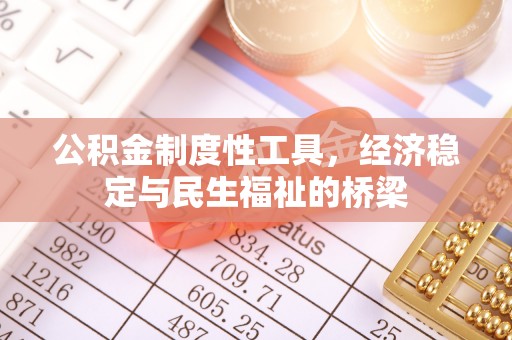 南岳公积金制度性工具，经济稳定与民生福祉的桥梁