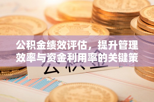南岳公积金绩效评估，提升管理效率与资金利用率的关键策略
