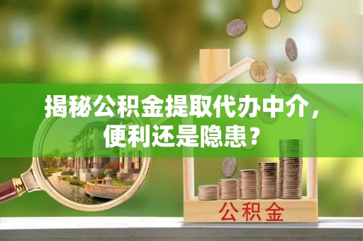 南岳揭秘公积金提取代办中介，便利还是隐患？