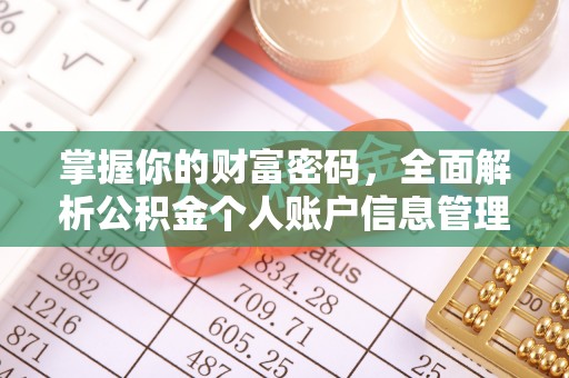 南岳掌握你的财富密码，全面解析公积金个人账户信息管理与优化