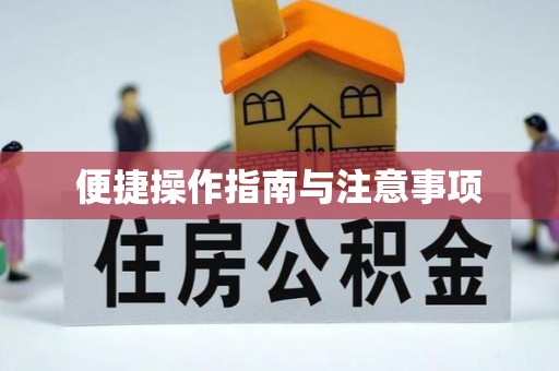 南岳便捷操作指南与注意事项